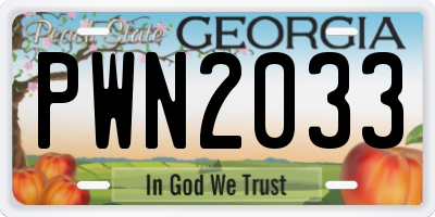 GA license plate PWN2033