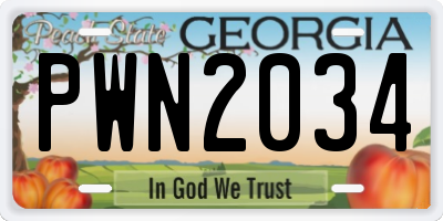 GA license plate PWN2034
