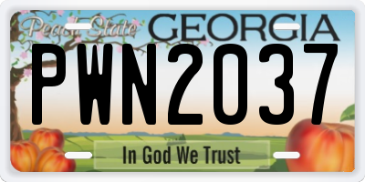 GA license plate PWN2037