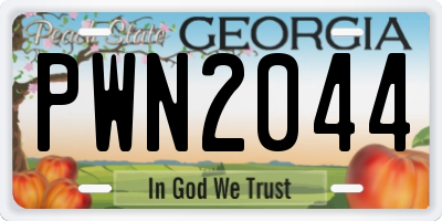 GA license plate PWN2044