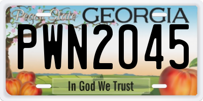 GA license plate PWN2045