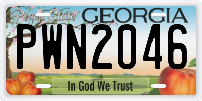 GA license plate PWN2046