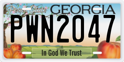GA license plate PWN2047