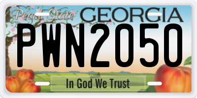 GA license plate PWN2050