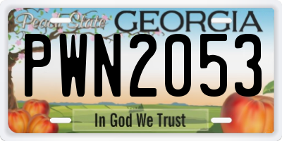 GA license plate PWN2053