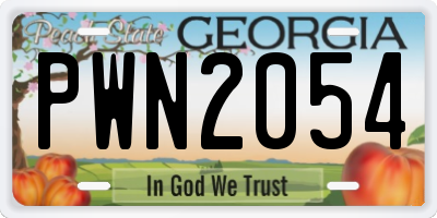 GA license plate PWN2054