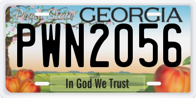 GA license plate PWN2056