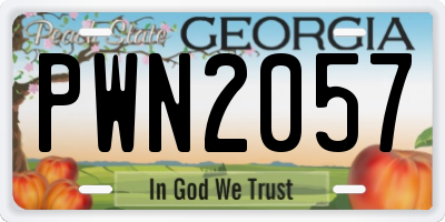 GA license plate PWN2057