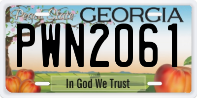 GA license plate PWN2061