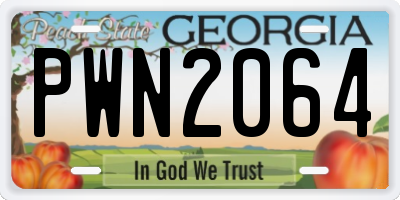 GA license plate PWN2064