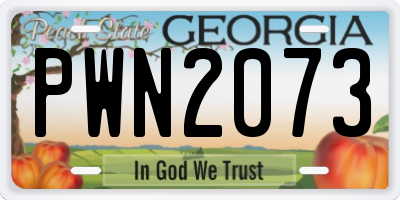 GA license plate PWN2073