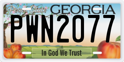GA license plate PWN2077