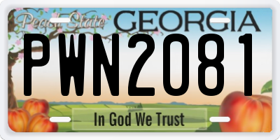 GA license plate PWN2081