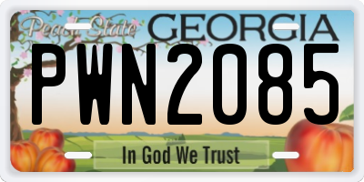 GA license plate PWN2085