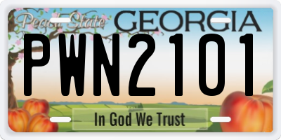 GA license plate PWN2101