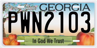 GA license plate PWN2103