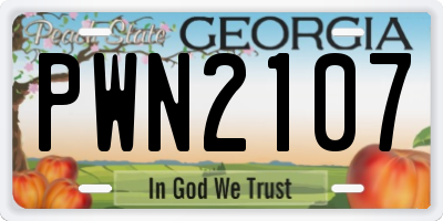 GA license plate PWN2107
