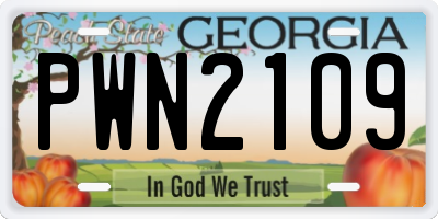 GA license plate PWN2109