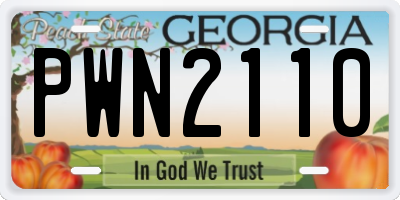 GA license plate PWN2110