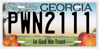 GA license plate PWN2111