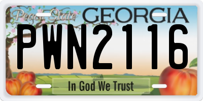 GA license plate PWN2116