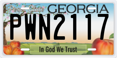 GA license plate PWN2117