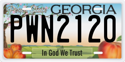 GA license plate PWN2120