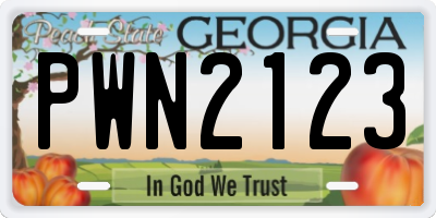 GA license plate PWN2123