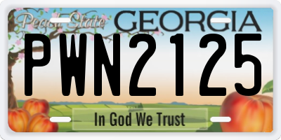 GA license plate PWN2125