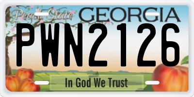 GA license plate PWN2126