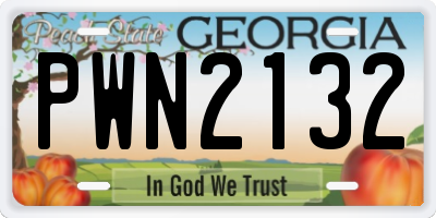 GA license plate PWN2132