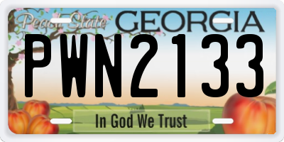 GA license plate PWN2133