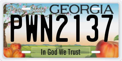 GA license plate PWN2137