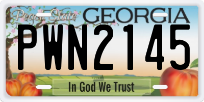 GA license plate PWN2145