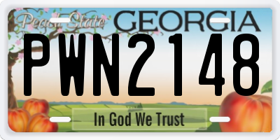 GA license plate PWN2148