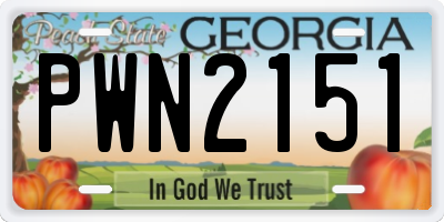 GA license plate PWN2151