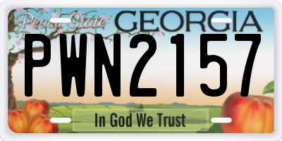 GA license plate PWN2157