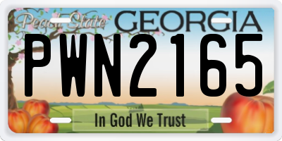 GA license plate PWN2165