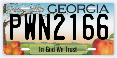 GA license plate PWN2166