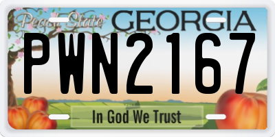 GA license plate PWN2167