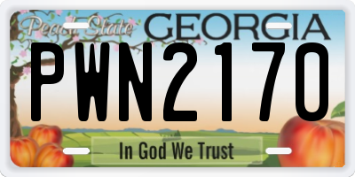 GA license plate PWN2170