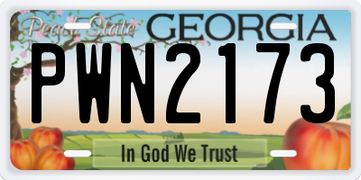 GA license plate PWN2173
