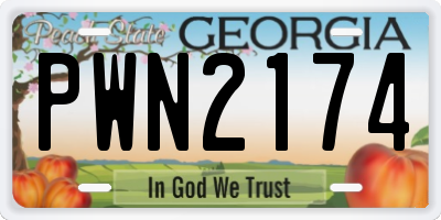 GA license plate PWN2174