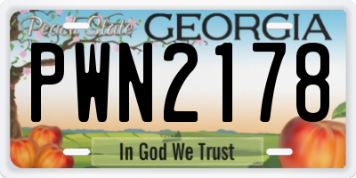 GA license plate PWN2178
