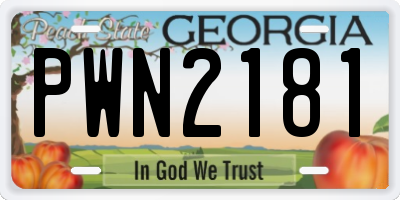 GA license plate PWN2181