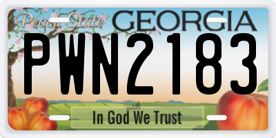 GA license plate PWN2183