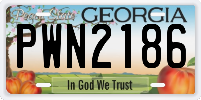 GA license plate PWN2186
