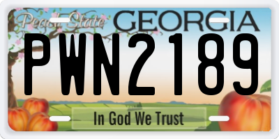 GA license plate PWN2189