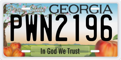 GA license plate PWN2196