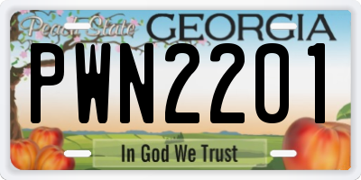GA license plate PWN2201